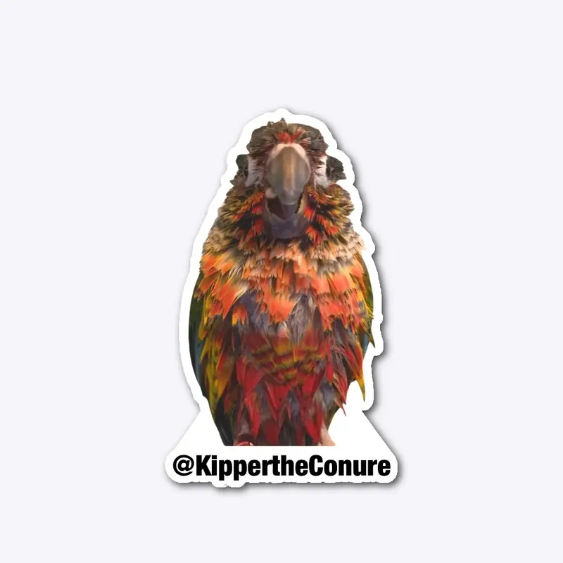 Official Kipper Merch